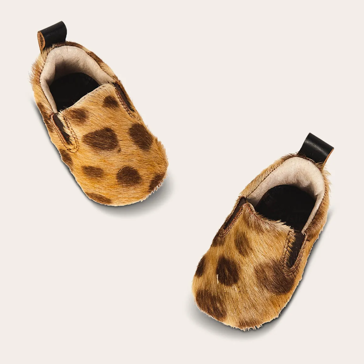 Baby kicks - Leopard