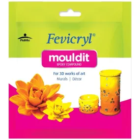 Fevicryl Mouldit (Shilpkar) 50gms