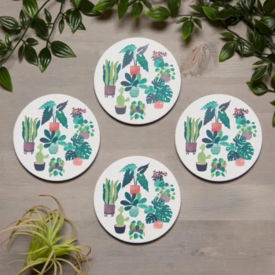 Let It Grow Soak Up Coaster Set