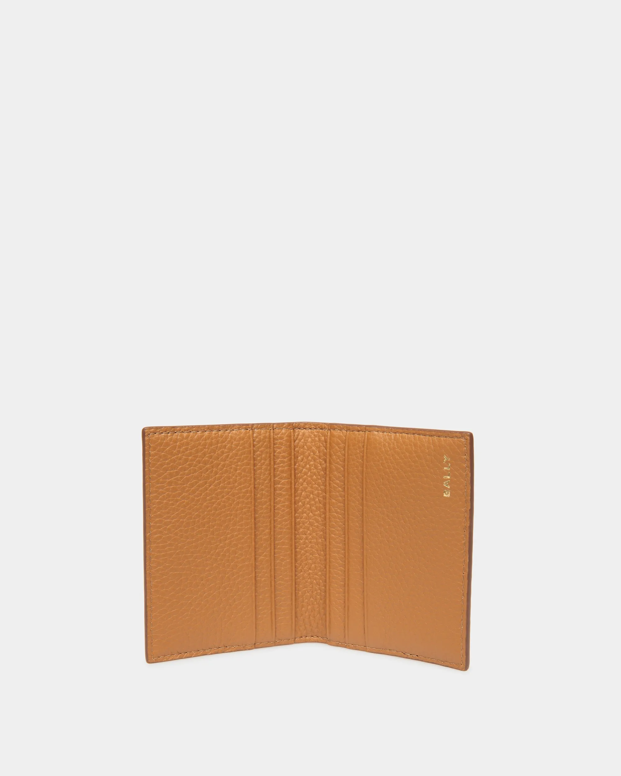 Pennant Card Holder In Desert TPU