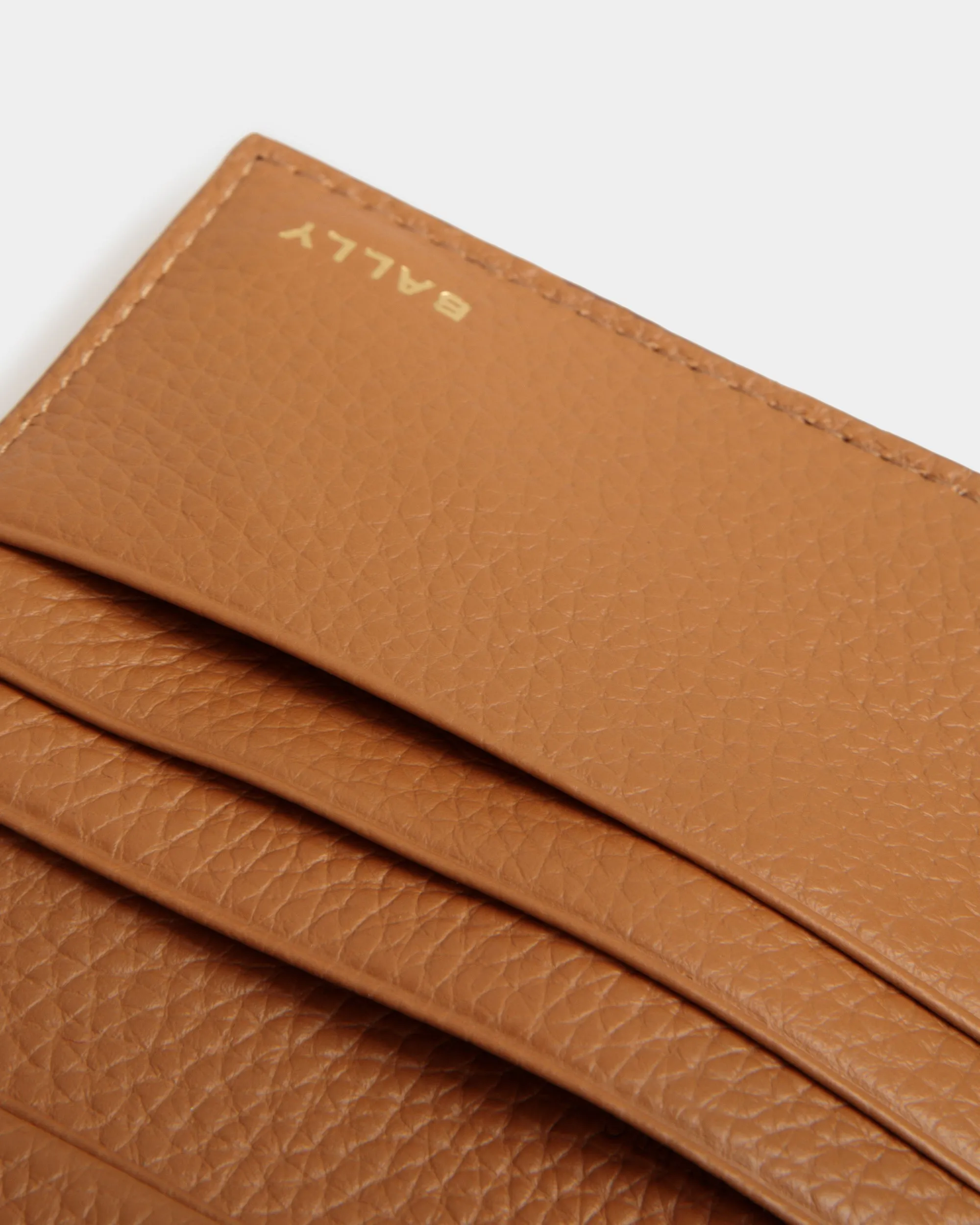 Pennant Card Holder In Desert TPU