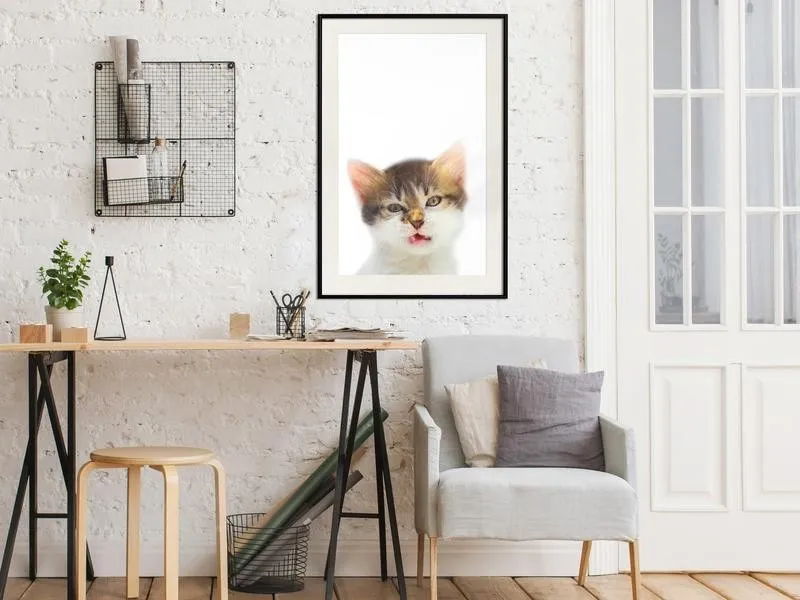 Poster Funny Kitten