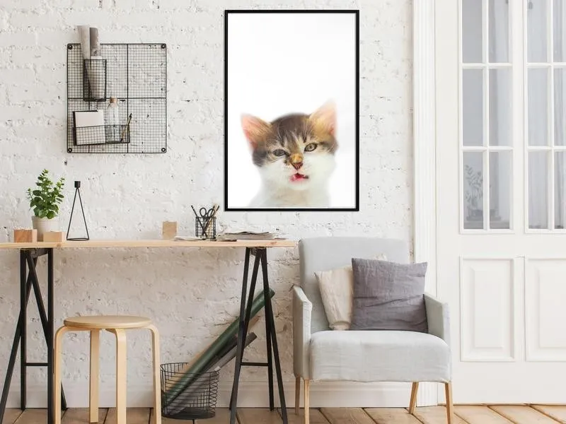 Poster Funny Kitten