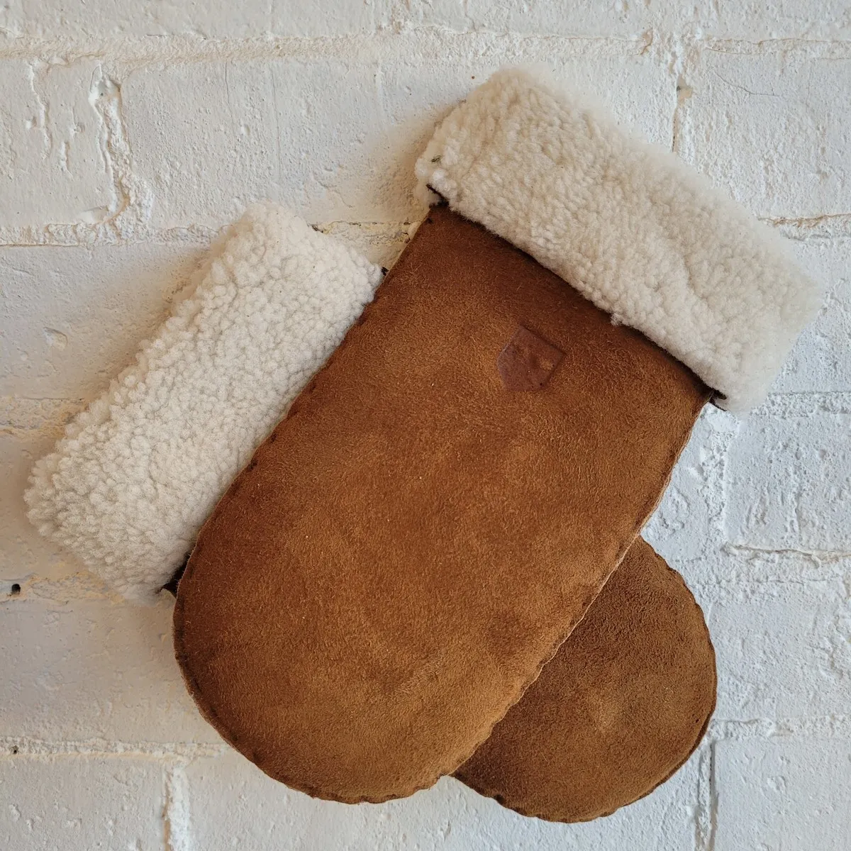 Sheepskin Mitten