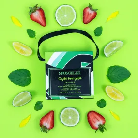 The Casaba Lime Sorbet Body Buffer