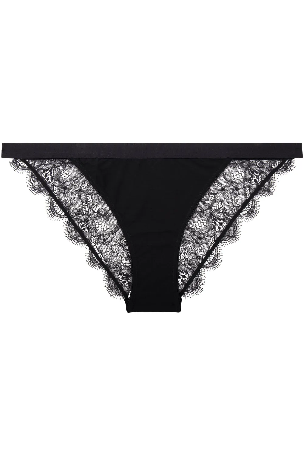 Wild Rose Brief