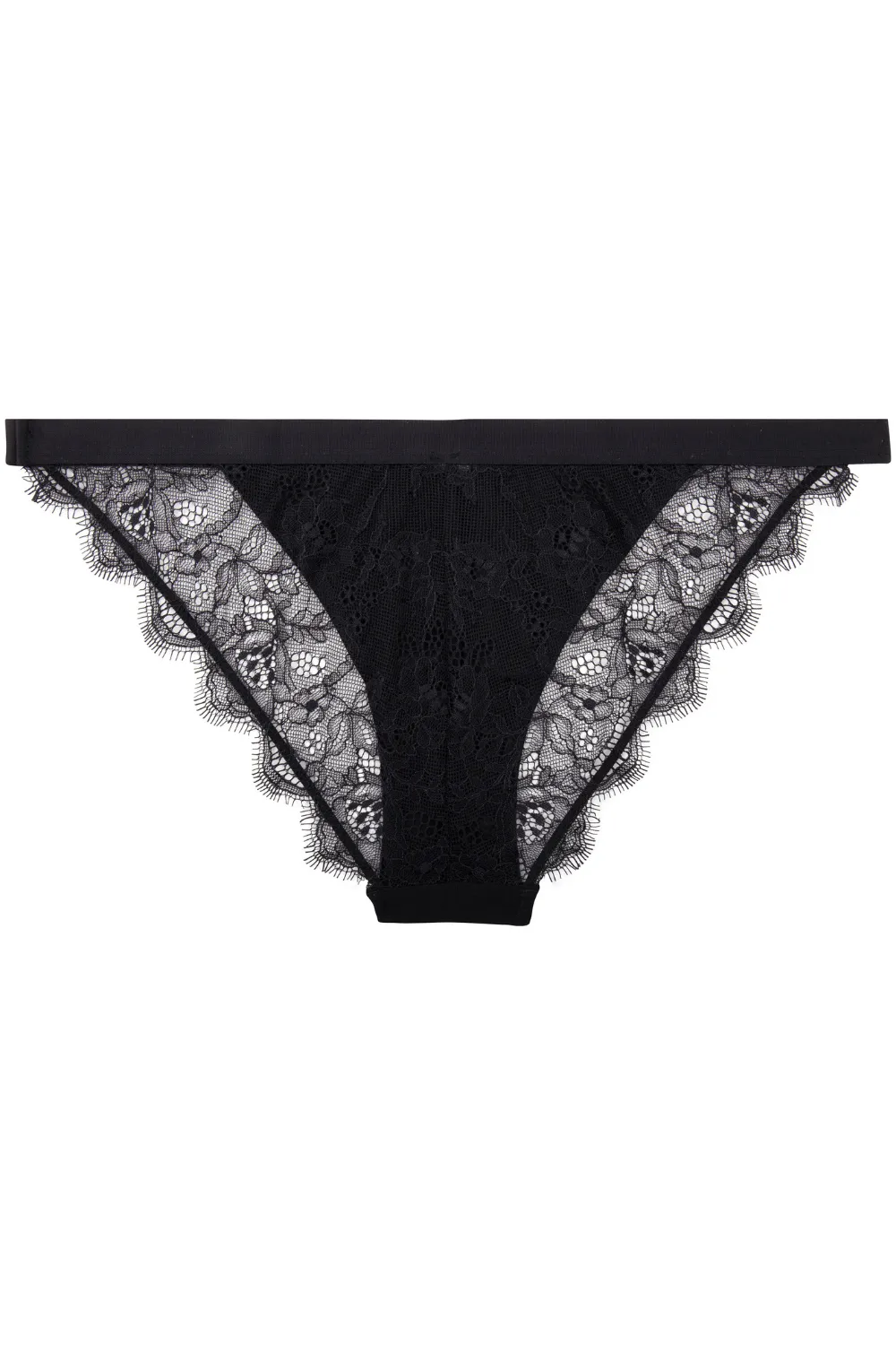 Wild Rose Brief